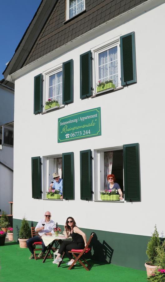 Rheinpromenade Daire Kamp-Bornhofen Dış mekan fotoğraf